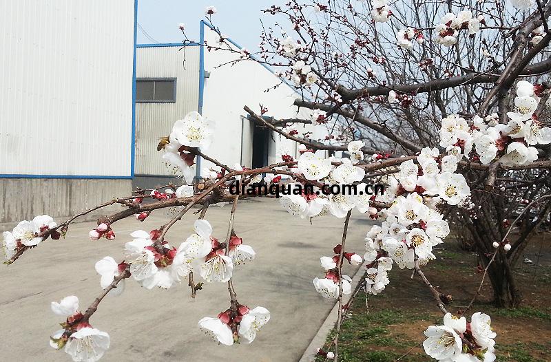 吉(ji)祥新世紀(ji)鋁(lv)塑板廠(chang)家(jia)環(huan)境(jing)